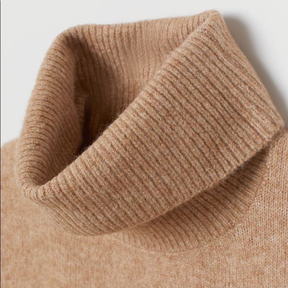 Brown turtleneck sweater
